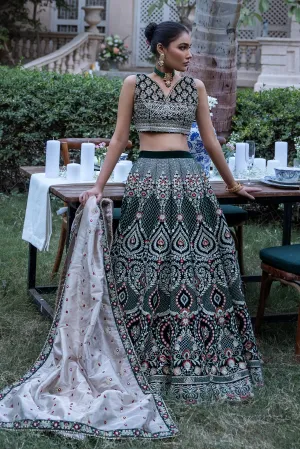 Velvet Embroidered Blouse And Lehenga